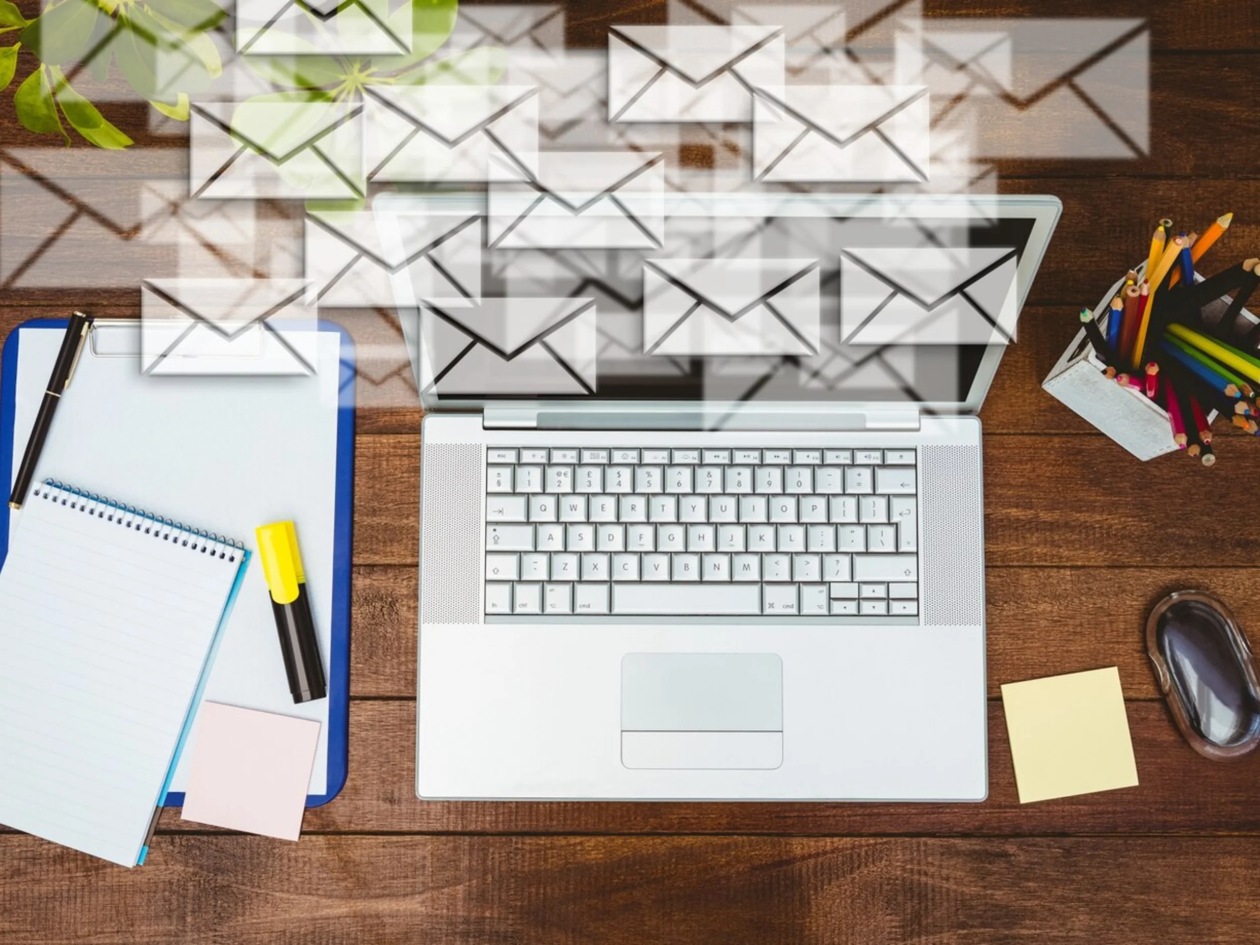 Why Choose Email Marketing Company in Delhi - Digital web future